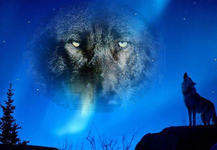 Howling At The Moon - YouTube