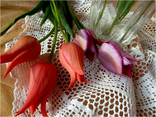 Долгожданная встреча