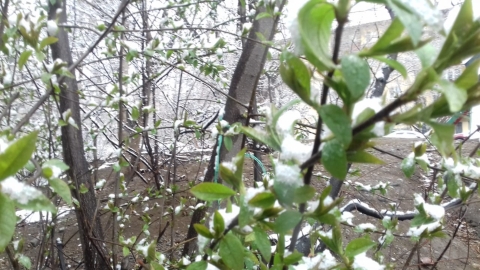 Интервенция