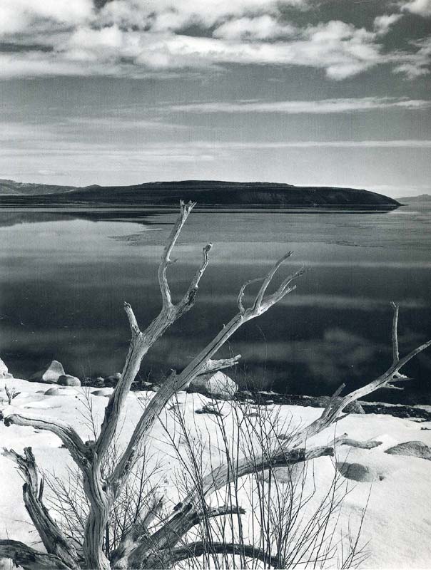 Художественная выразительность снимка