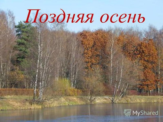 Между осенью и зимою