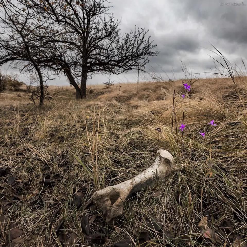 Осенний экспромт