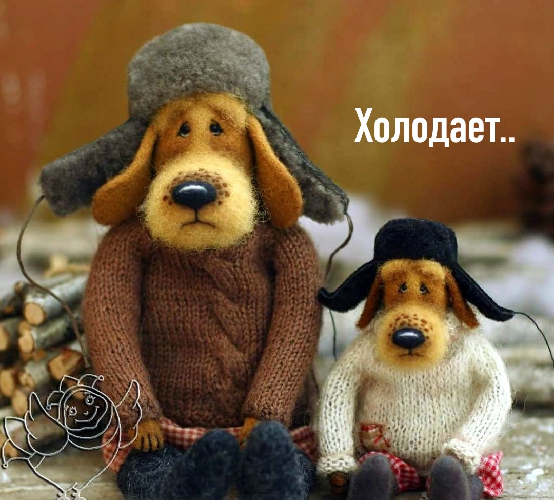 С утрой