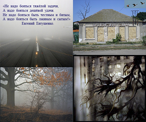 После отлёта птиц...