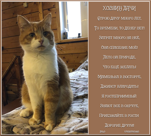 Хозяин дачи