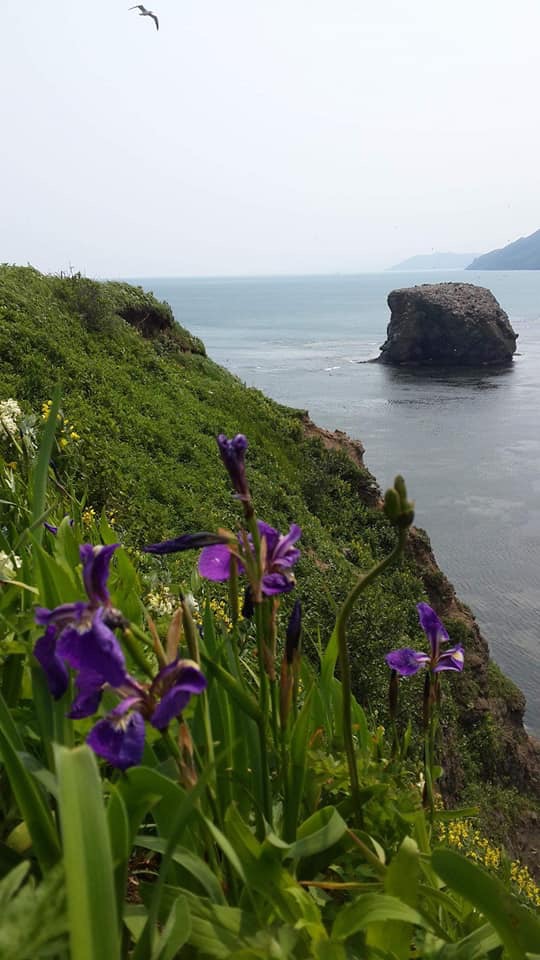 Бухта Тихая, Сахалин...