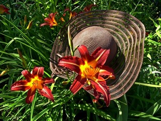 Любви все возрасты покорны