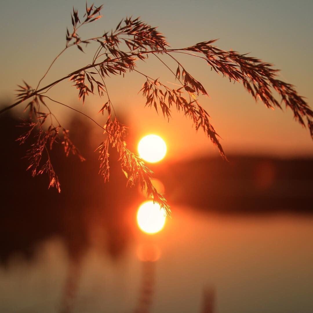 А не боятся...