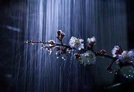 Время дождей