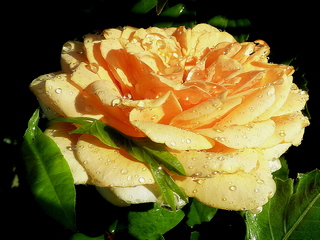 Чары колдовства