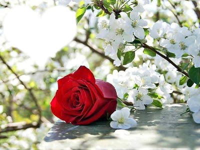 Любовь-весна