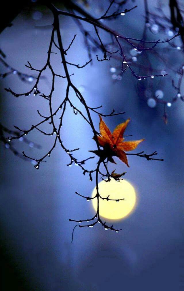 Межсезонье