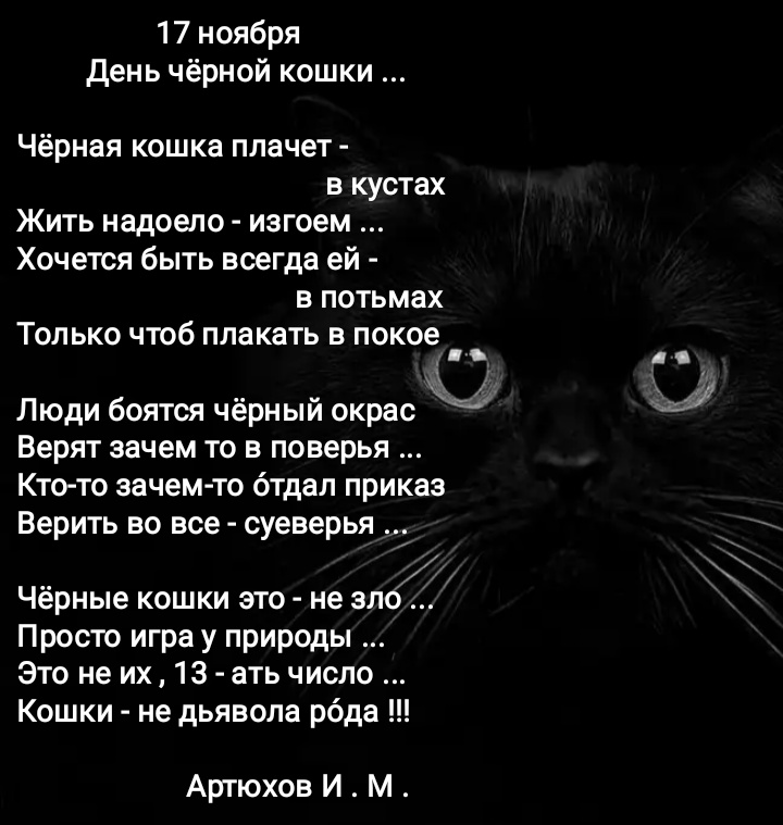 День котов стихи. Стих про черного кота. Стихи про чёрных кошек. Стишок про черного котика. Стих про черного котика.