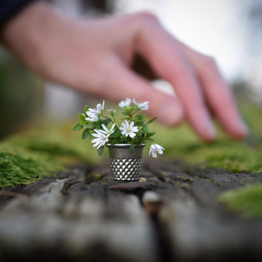 Будь-будь-будь-себе желать, чтобы жить-не опоздать