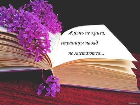 14. 361 Не черновик