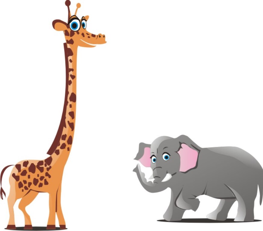 Жираф и слон.