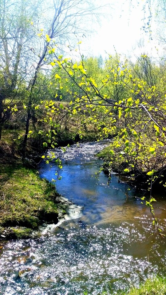 Весенний ручей (Илья Волотов) / Стихи.ру