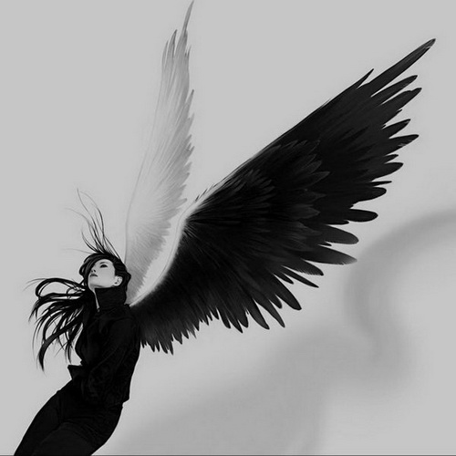 Вторым крылом