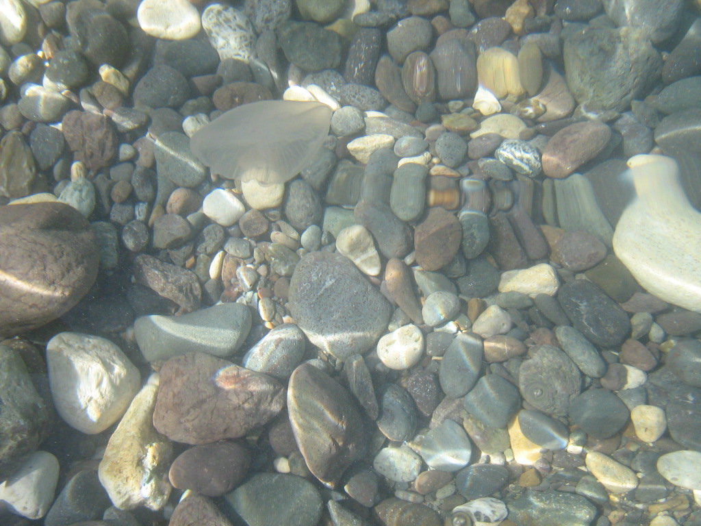 Ласкает камушки водица