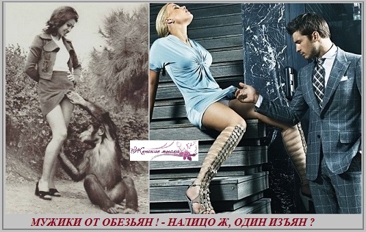 Мужики - от обезьян?