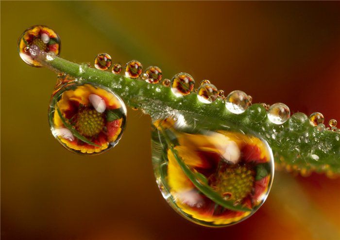 Прохладный воздух влагой вышит