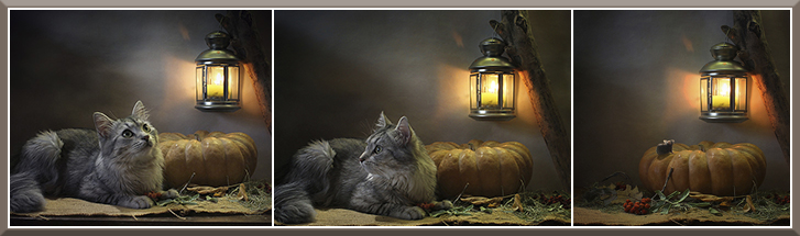 Феникс приглашает гостей