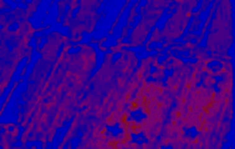 Этот региональный маган, видимо носит-пог...