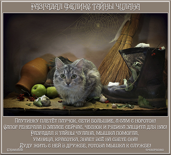 Разгадал Феликс тайны чулана