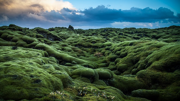 Отклик на В результате остаётся С. Пагына