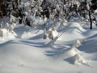 Крутой характер у зимы