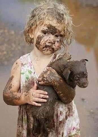 Гуляли с кутенком после дождя