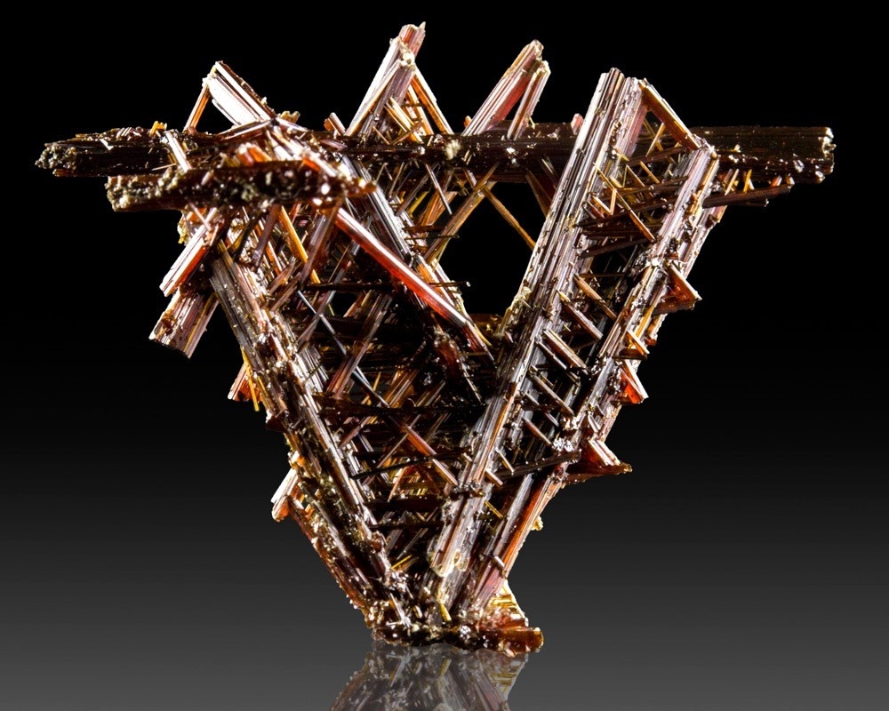 Рептилий древних странная корона