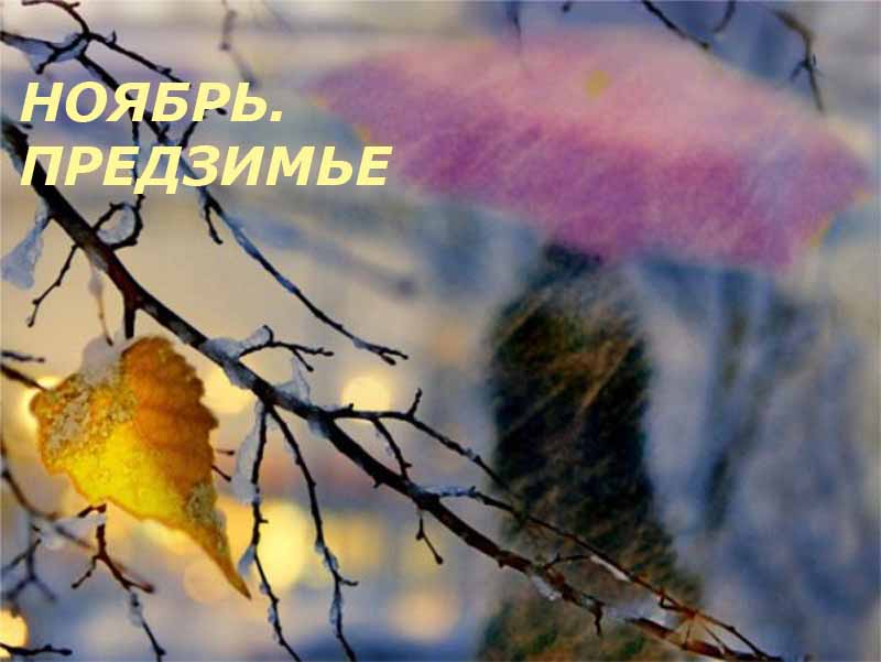 Итоги конкурса. Ноябрь. Предзимье