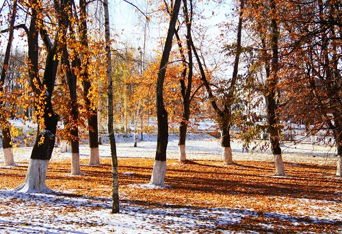 Бодрит морозец по утрам (Васлий Кузьменко) / Стихи.ру
