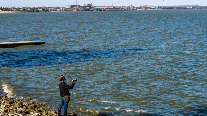 Путин прекрати