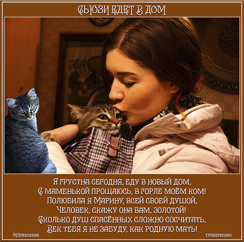 Сьюзи едет в дом