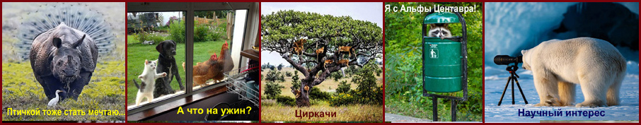 Экфразисы с животными. Адела Василой