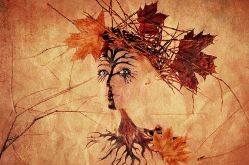 Осень застыла