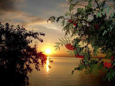 Как пылает рябиновый куст