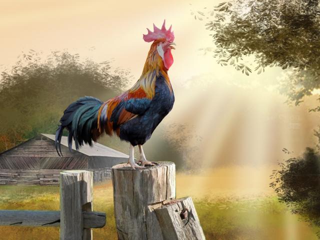 Утро раннее