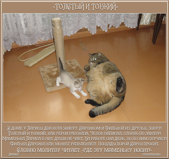 Толстый и тонкий