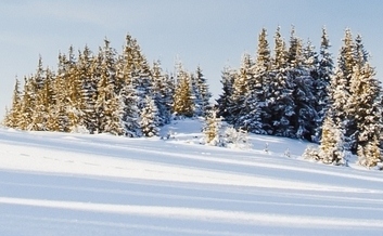 Это Родина моя