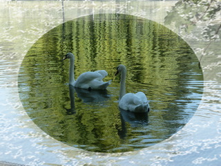 Ты - моя мечта