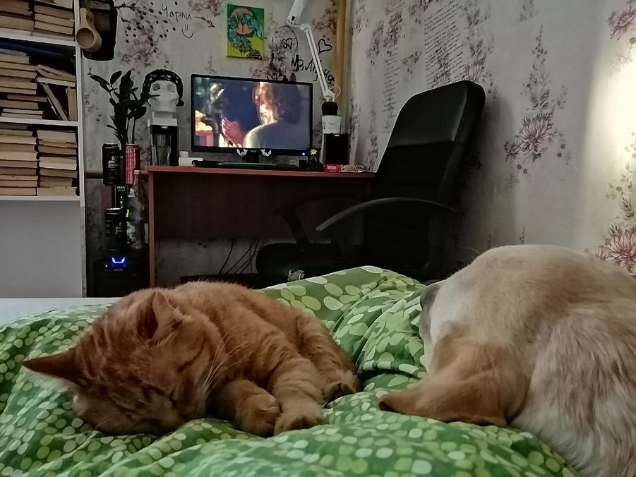 Рефлексия и прокрастинация