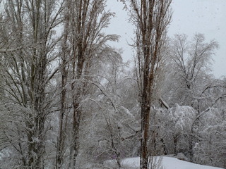 Игры снежинок