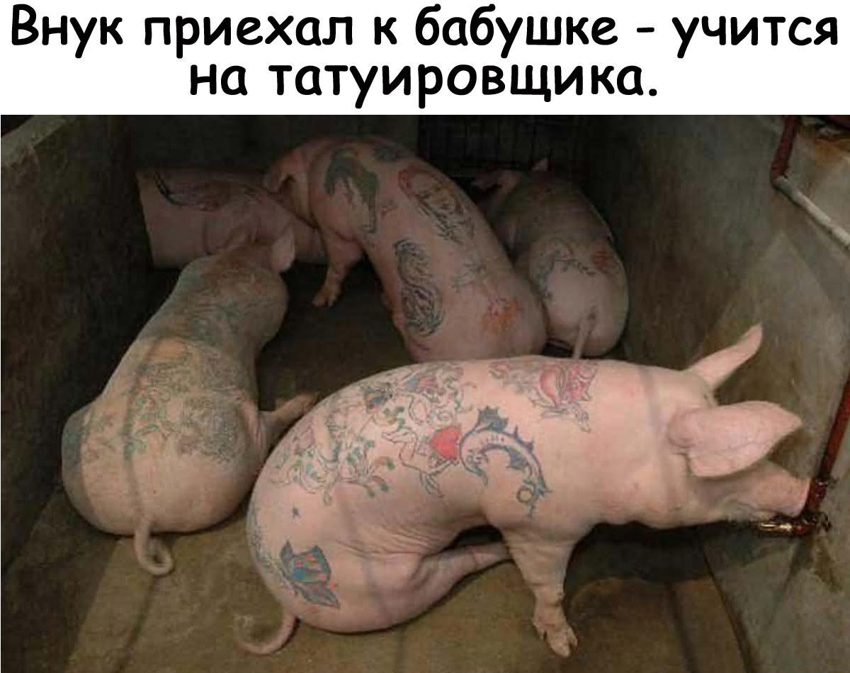 Последний день татуировщика прикол