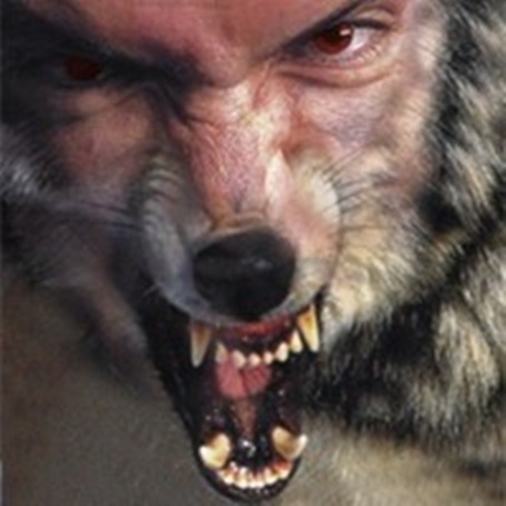 Люди и звери!