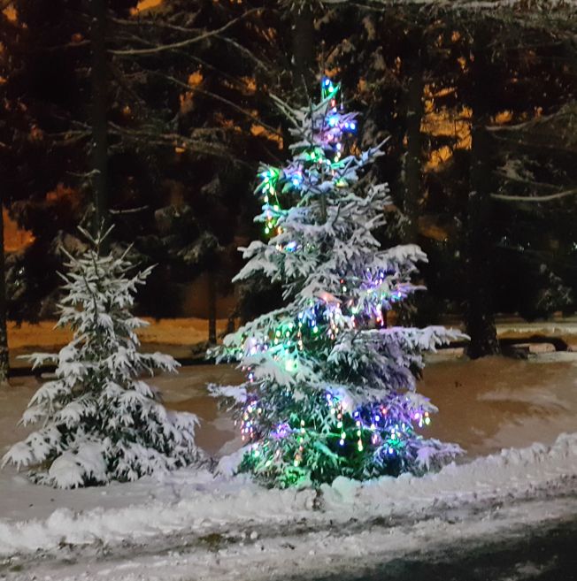 Новогодний хоровод на лесной поляне