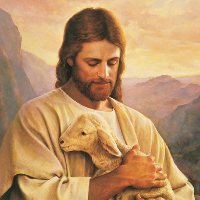 Я с детства не учился важному...