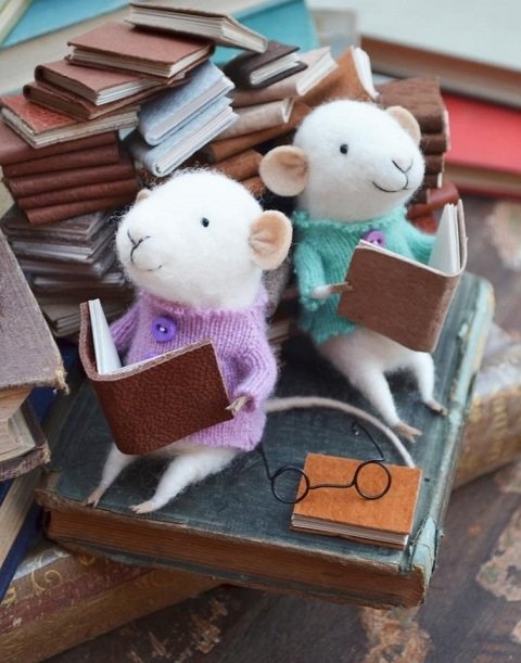 О вреде чтения книжек